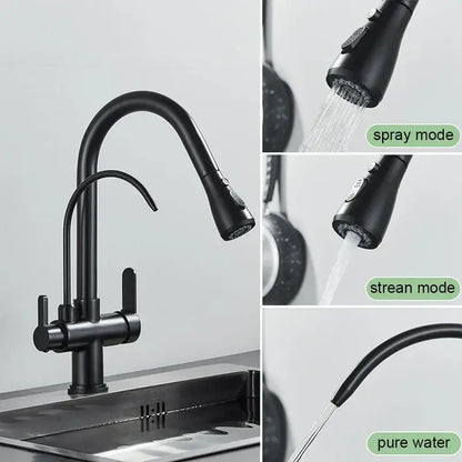 DecorBites black gold filter kitchen faucet in black matte finish with pull-down spray head and dual handles for water control