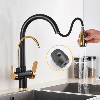 DecorBites™ black gold filter kitchen faucet with dual handles and pull-down spray head in black gold finish