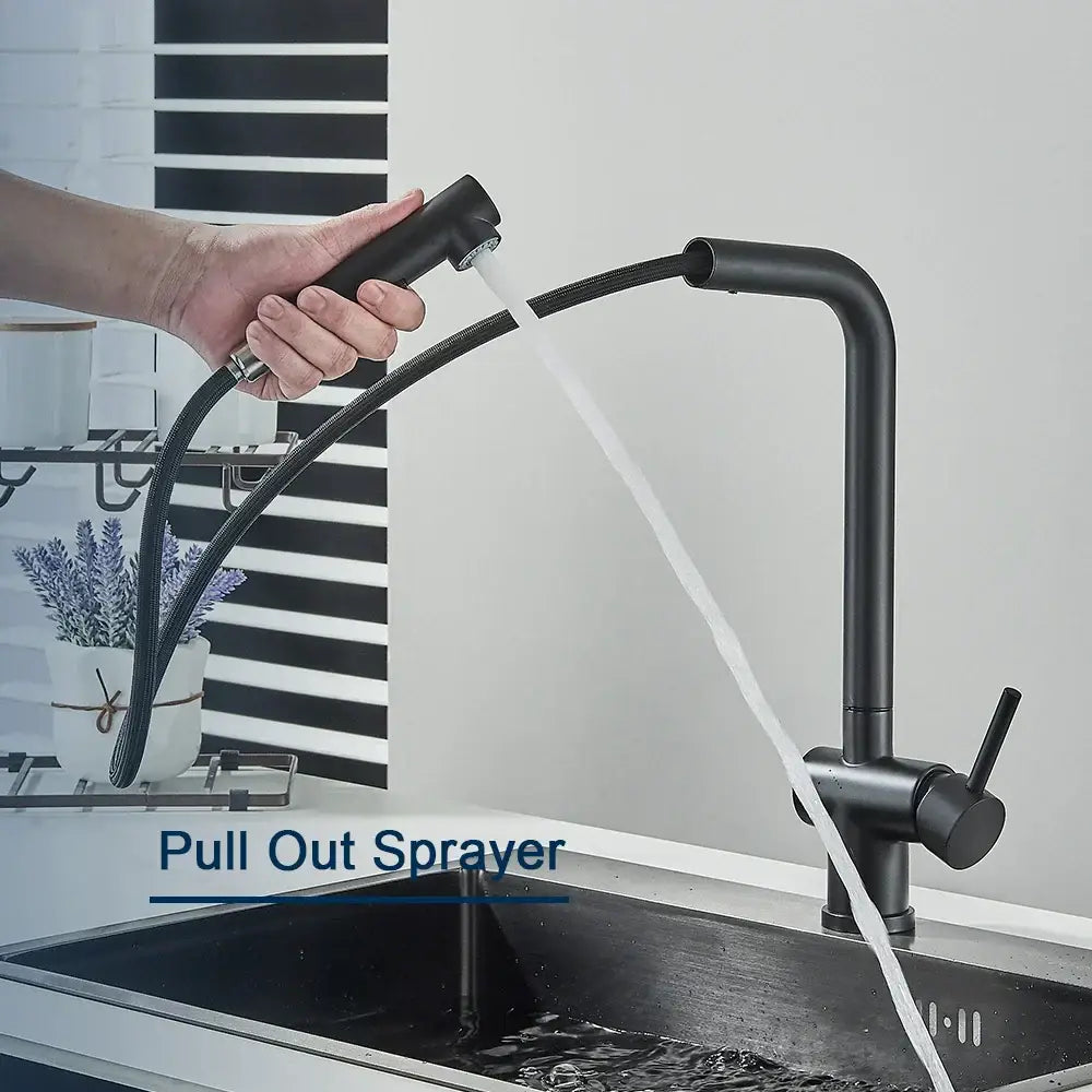DecorBites black gourmet kitchen faucet with black matte finish flexible hose and dual spray nozzle for kitchen use