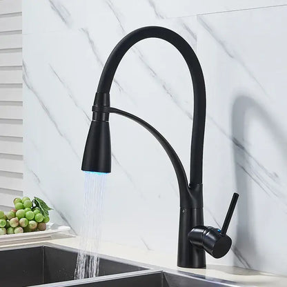 DecorBites black hose kitchen faucet with black matte finish, curved spout, blue led lighting, single handle, pull down sprayer