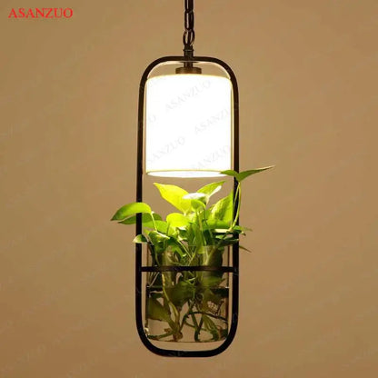 Decorbites black iron pendant light with black iron cage frame and clear glass shade housing a green potted plant