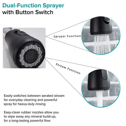 DecorBites black kitchen faucet pull out mixer with single handle dual-function sprayer for powerful cleaning