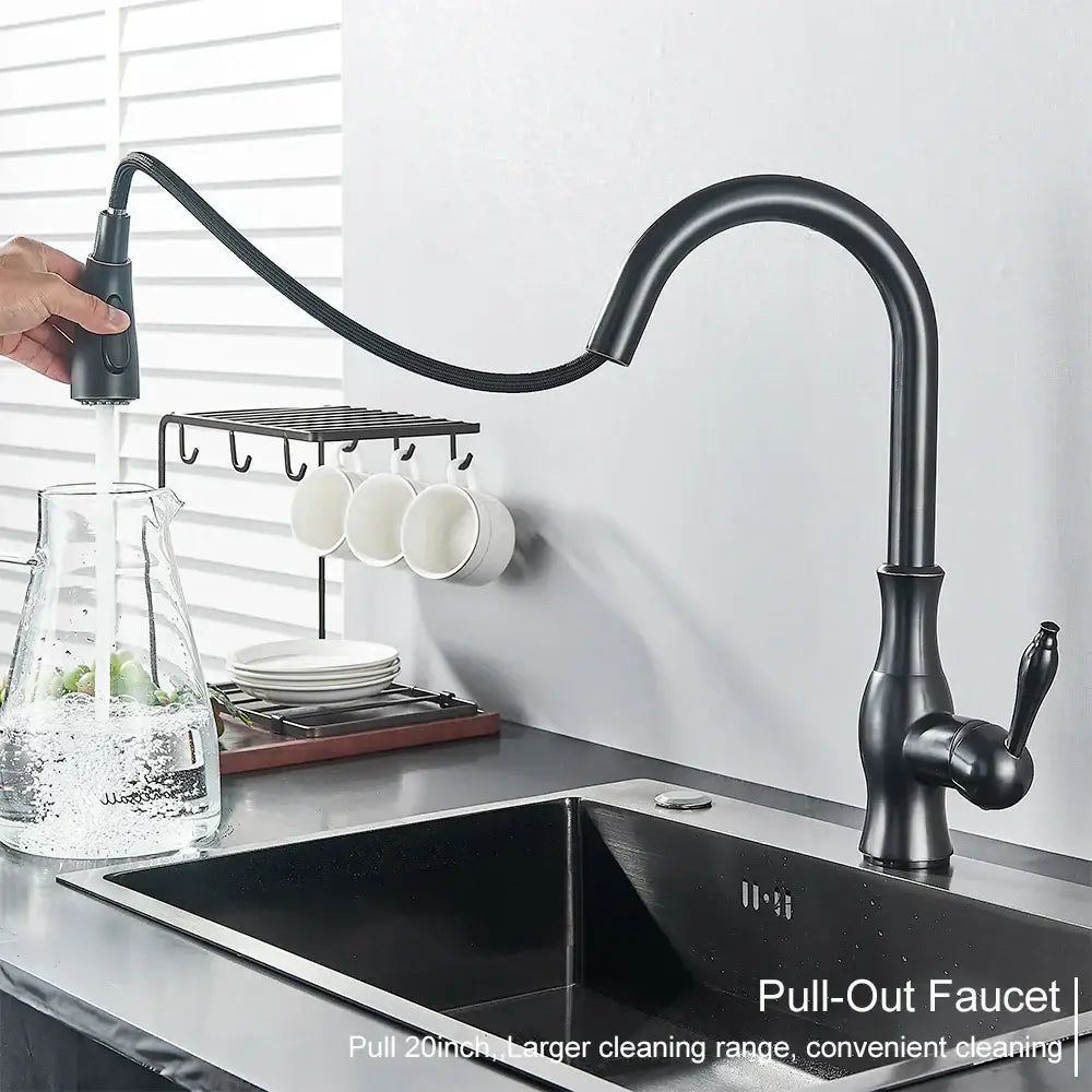 Decorbites black kitchen faucet with matte finish single handle hot and cold mixer and flexible arched spout