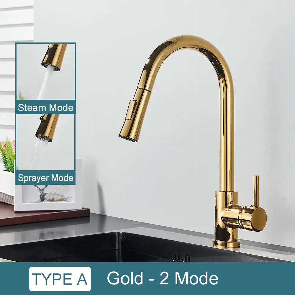 Gold-colored sleek modern kitchen faucet with curved spout and two function spray for decorbites black kitchen faucet