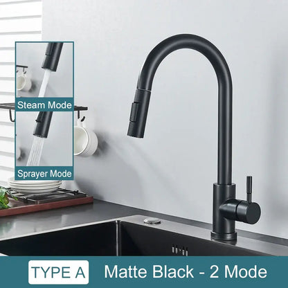 Matte black DecorBites black kitchen faucet with sleek curved spout and pull-down spray head for hot and cold water
