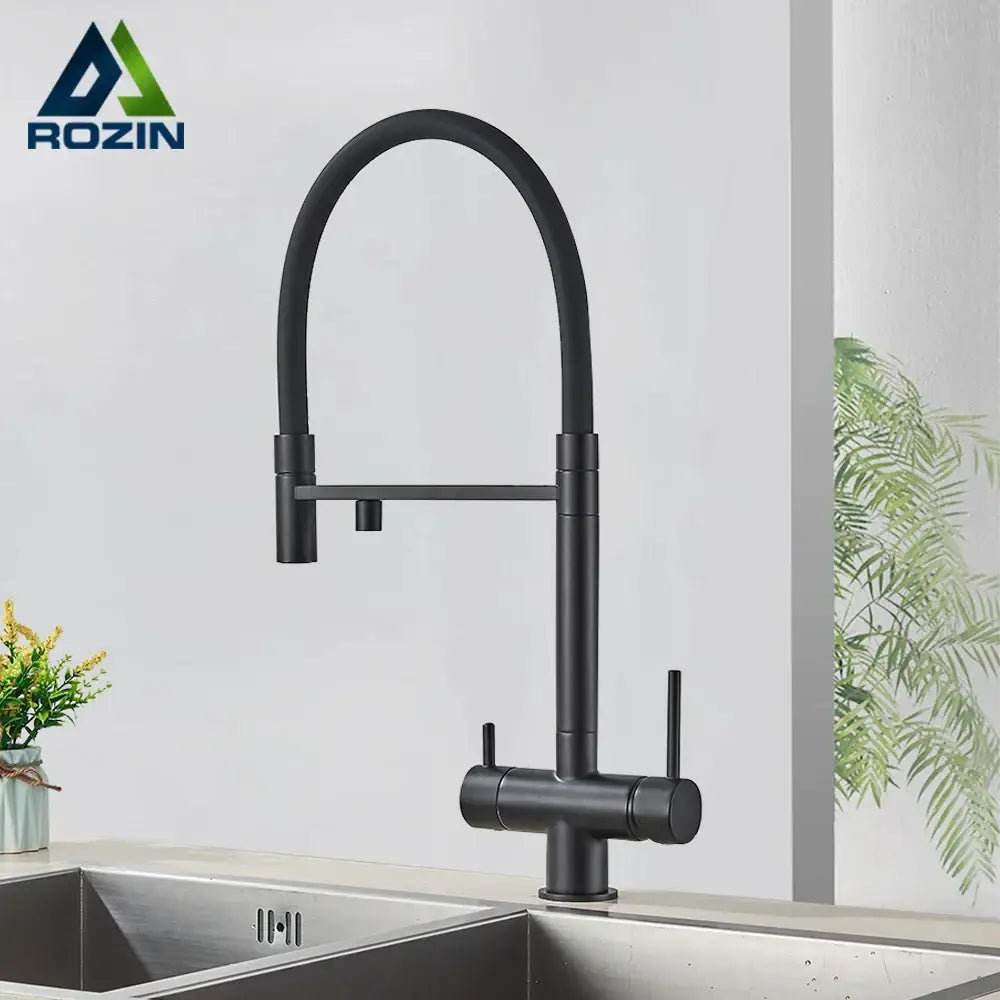 DecorBites black kitchen faucet with matte finish curved spout dual handles pull down sprayer and 2-in-1 purification technology