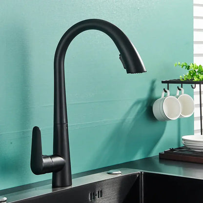 Decorbites black kitchen faucet with matte finish curved spout single lever control and pull out sprayer