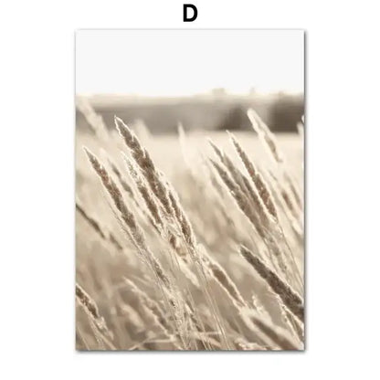Beige-toned wheat stalks with soft golden lighting in decorbites™ bohemian beach landscape wall art canvas