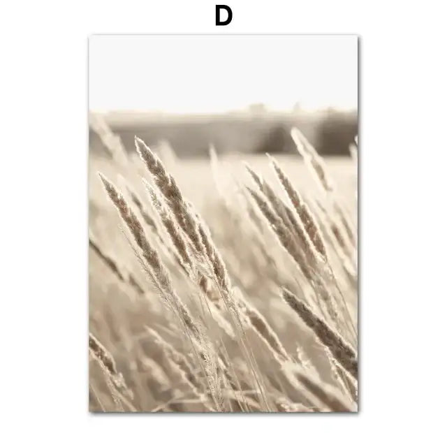 Beige-toned wheat stalks with soft golden lighting in decorbites™ bohemian beach landscape wall art print for elegant decor