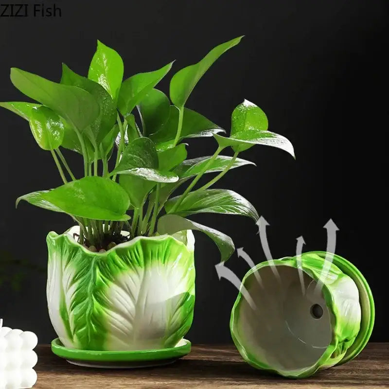 Green and white ceramic vase shaped like Chinese cabbage with matching saucer by DecorBites for room decor