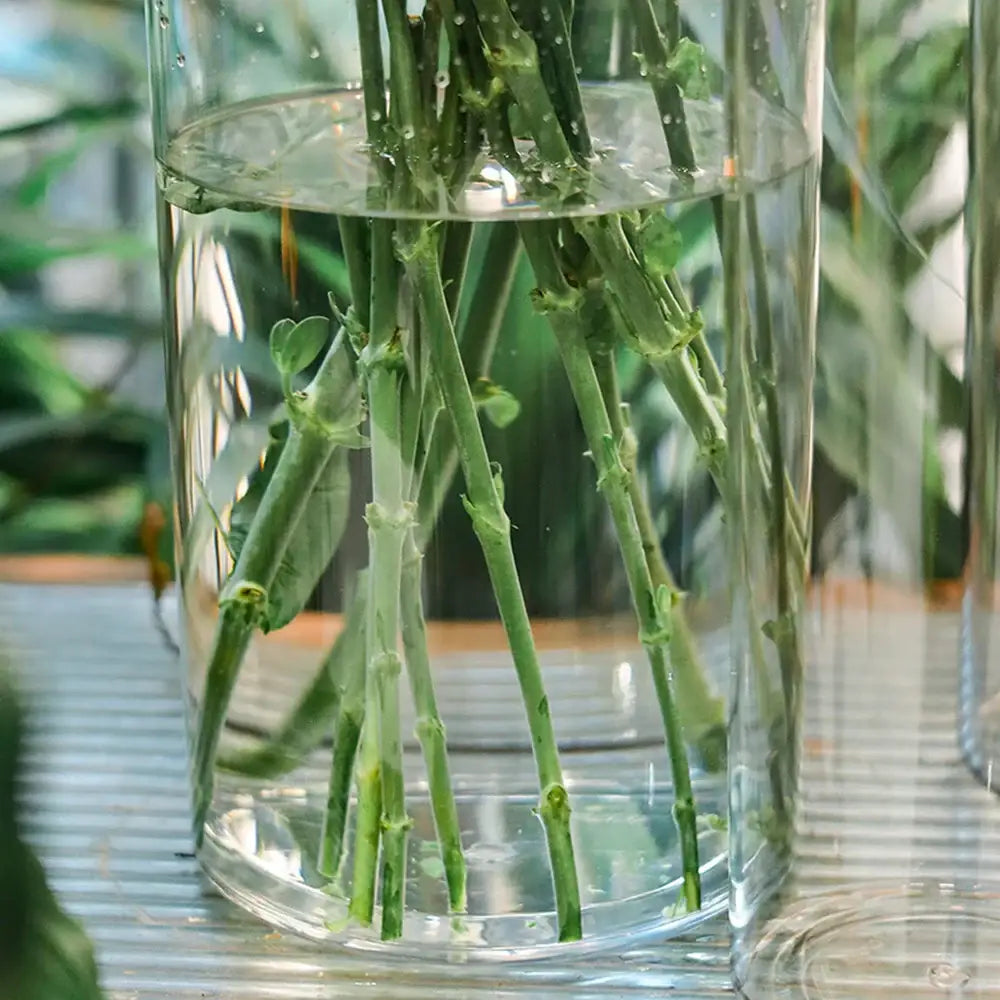 Decorbites clear acrylic hurricane flower vase large size clear glass vase holding green plant stems in water