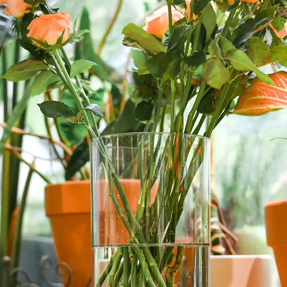 DecorBites clear acrylic hurricane flower vase large size holding orange roses with green stems and leaves