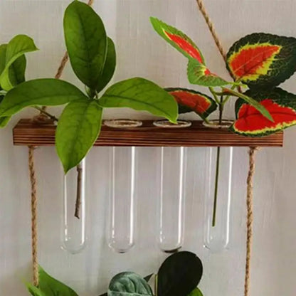 Clear Glass Test Tube Vases for Plants - As Shown - Vase