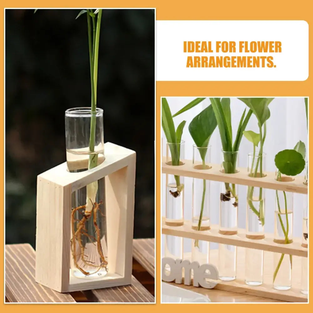 DecorBites clear glass test tube vases feature a light wooden frame holding water and plant roots