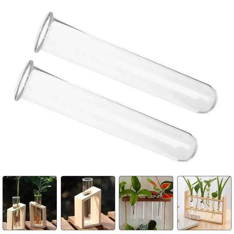 Decorbites clear glass test tube vases with silver metal rims ideal for displaying plants as elegant tube vases