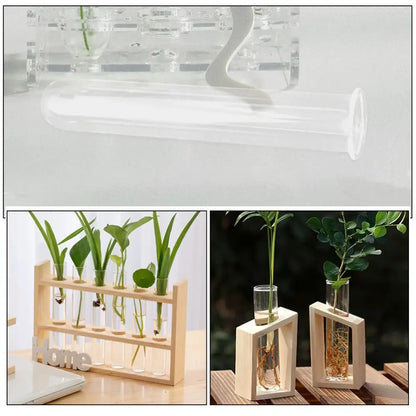 Decorbites™ clear glass test tube vases with wooden stands holding small green plants in water for elegant tube vases display