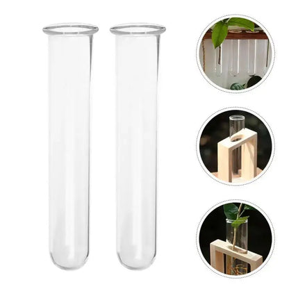 Two clear glass test tube vases by decorbites featuring rounded bottoms and smooth transparent surfaces for plants