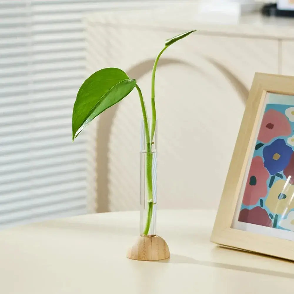Decorbites clear vase with bamboo base holding a single green leafy stem as a hydroponic vase tabletop decoration
