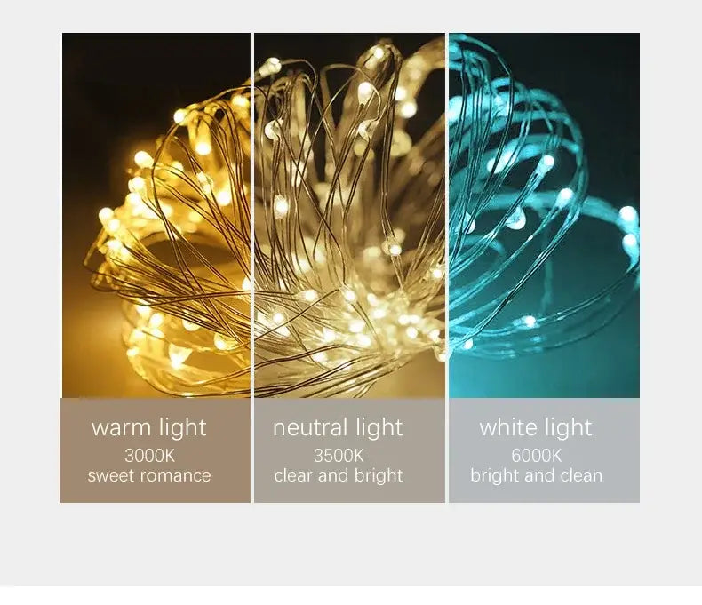 Decorbites™ contemporary led glass ceiling chandelier with warm neutral and white string light bulbs in three color temperatures