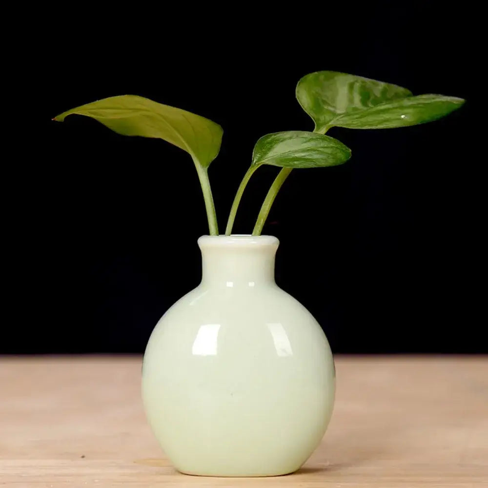 Decorbites™ cute mini ceramic flower vase pot with a pale green ceramic flower vase holding three vibrant green leaves