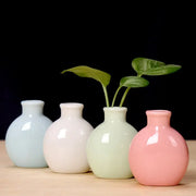 DecorBites™ cute mini ceramic flower vase set of four pastel-colored rounded vases with green leafy plants