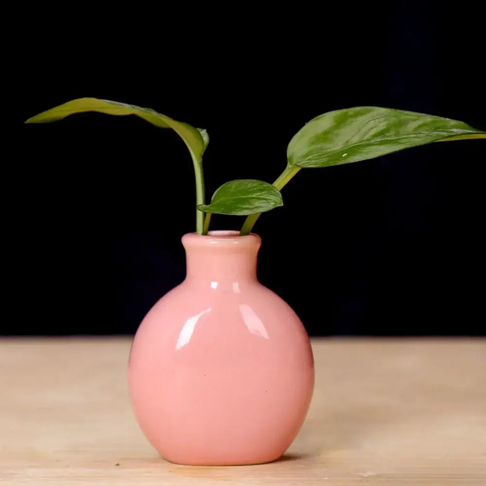 DecorBites™ cute mini glossy pink ceramic flower vase with rounded body and narrow neck holding two green leaves