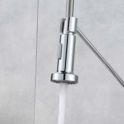 Chrome finished DecorBites dual function kitchen sprayer head with flexible braided hose and modern pull-down design