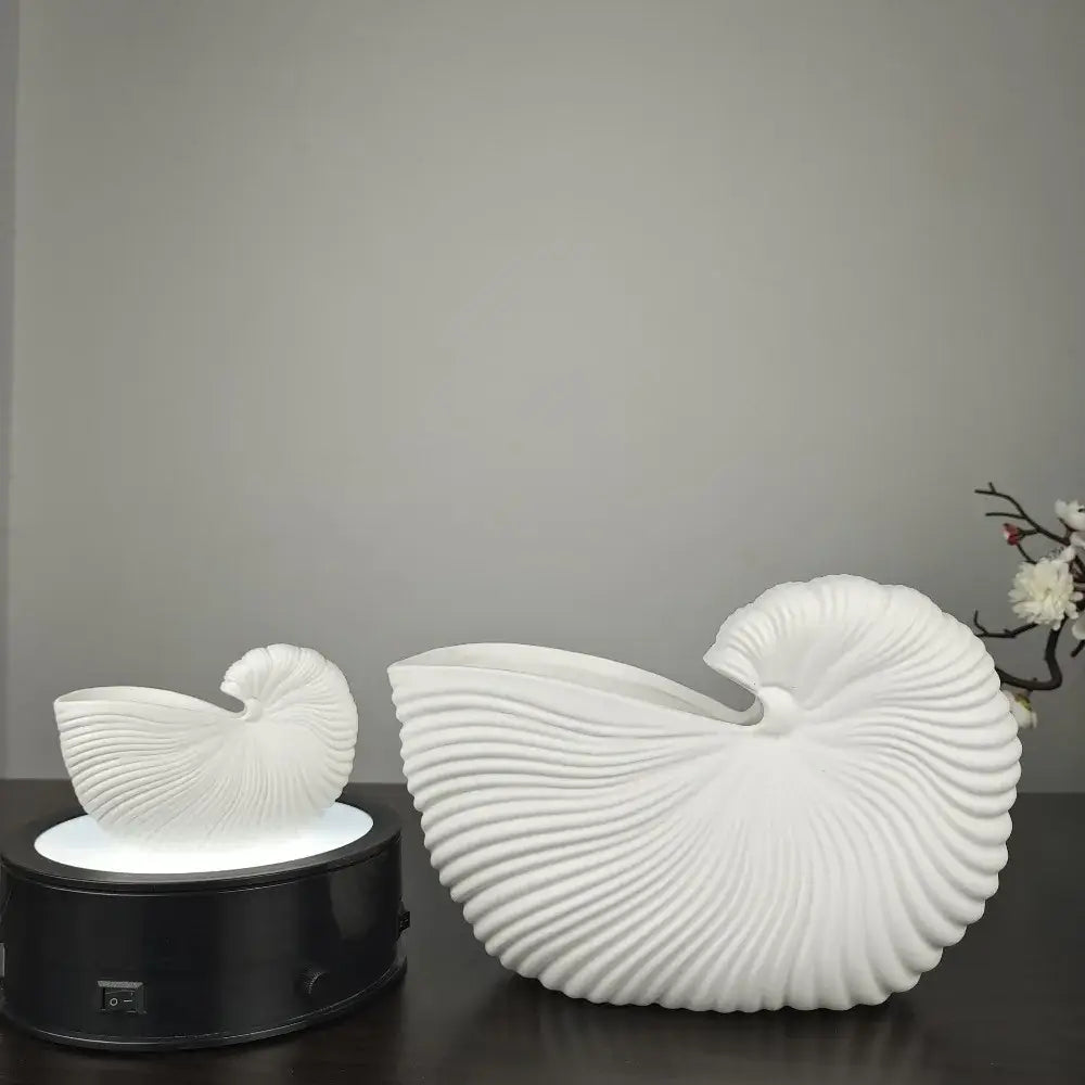 Decorbites elegant ceramic vase with shell conch design featuring two white glossy nautilus shell decor pieces
