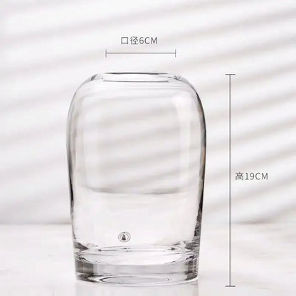 Decorbites elegant european ins clear glass flower vase with rounded bulbous body and flat base for floral display