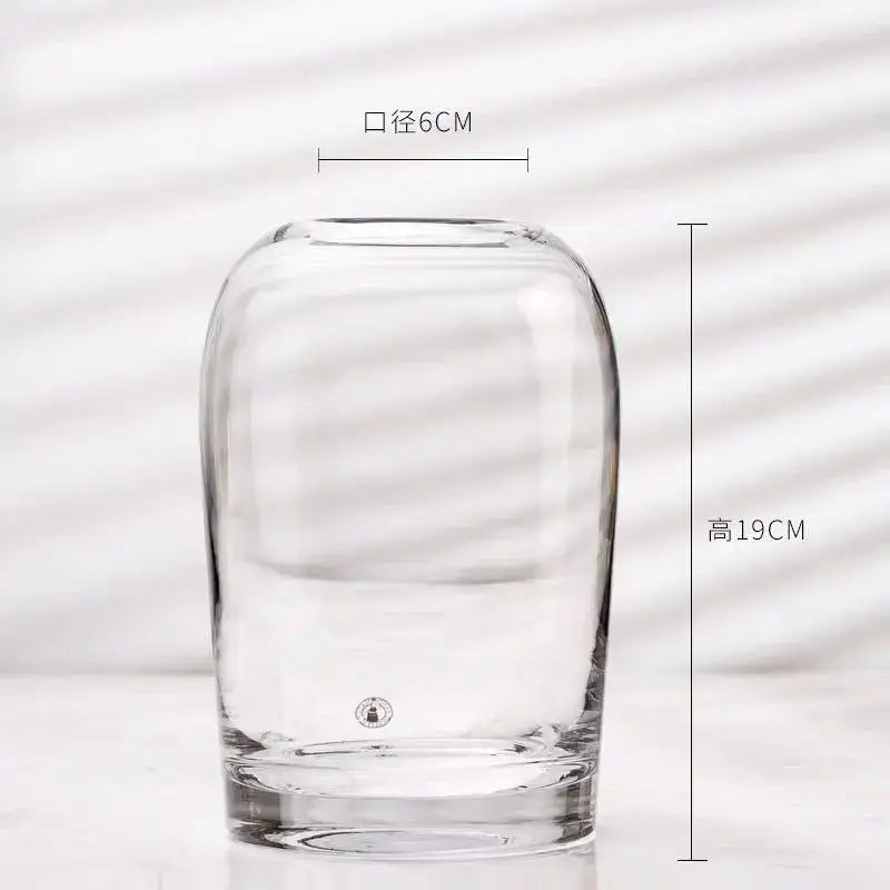 Decorbites elegant european ins clear glass flower vase with rounded bulbous body and flat base for floral display