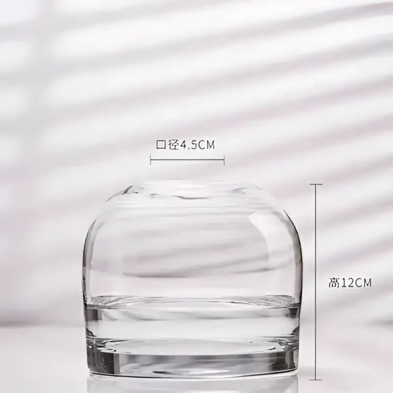 Clear glass flower vase by decorbites with rounded bulbous body and narrow neck elegant european design