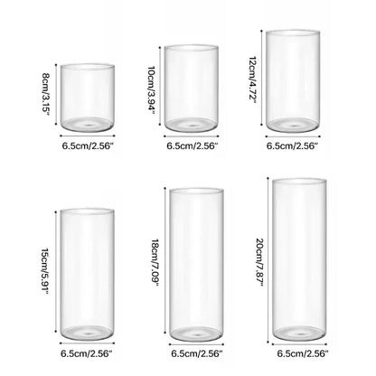Decorbites™ elegant glass cylinder vase set in clear transparent glass with uniform 6.5cm diameter for flowers