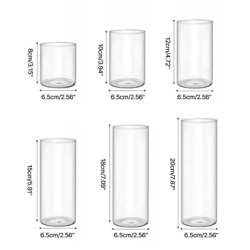 Decorbites™ elegant glass cylinder vase set in clear transparent glass with uniform 6.5cm diameter for flowers