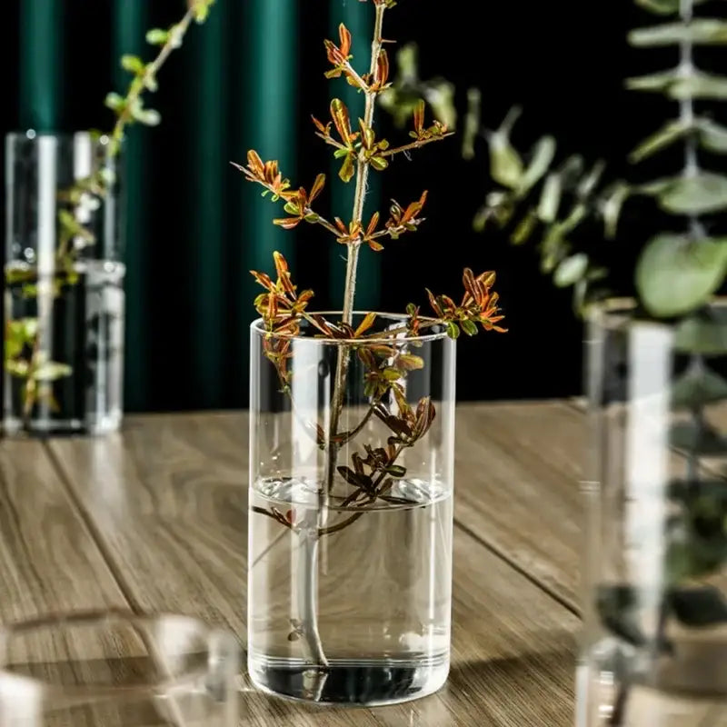 DecorBites™ elegant glass cylinder vase with clear glass holding slender branch with reddish-brown leaves and green stems