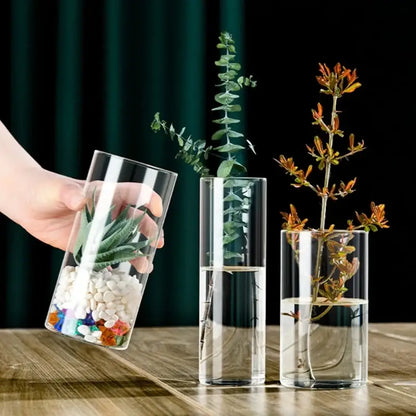 Decorbites™ elegant glass cylinder vase holding a green succulent with white pebbles and colorful stones at the bottom