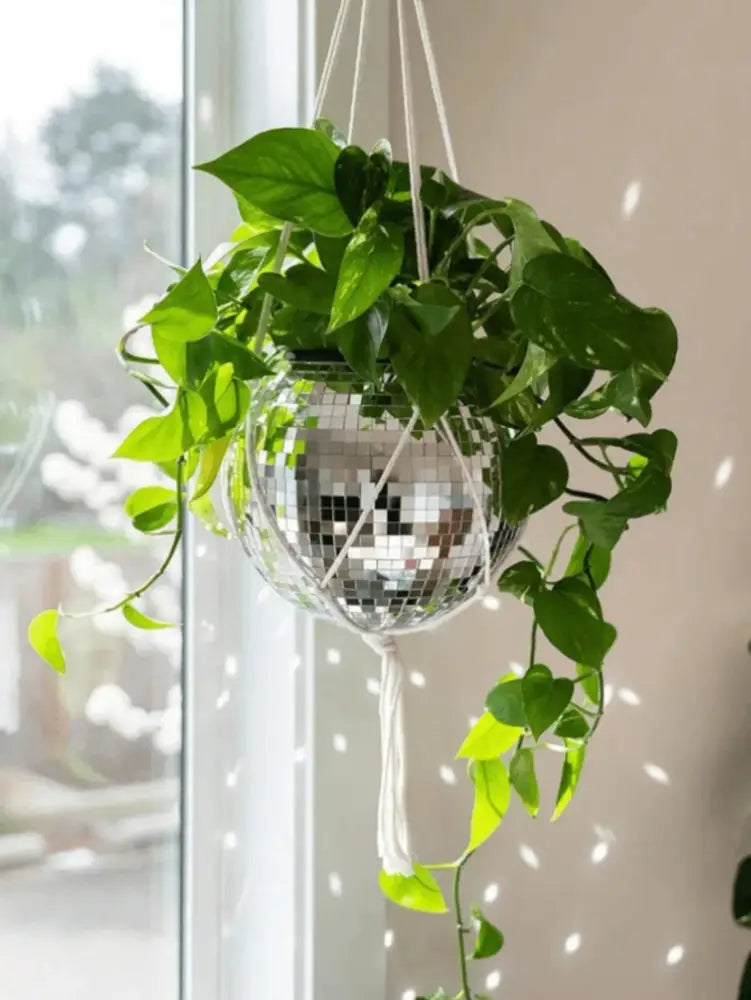 Decorbites™ elegant round glass vase hanging plant in spherical mirrored disco ball glass vase with white macrame cords