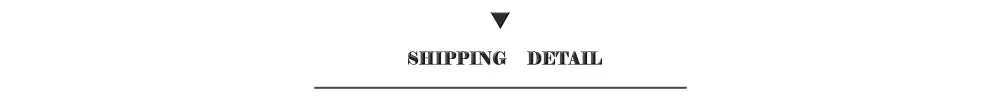 Shipping detail text in black centered above a line for decorbites™ f1 race track canvas painting wall art imola monaco track