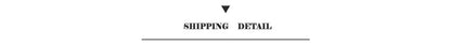 Shipping detail text in black centered above a line on the back side of decorbites f1 racing track canvas art print