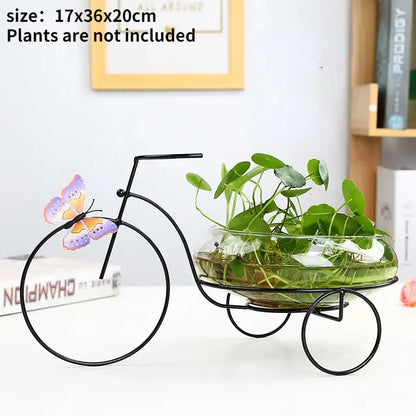Black metal bicycle-shaped planter with clear glass bowl holding green plants and colorful butterfly decoration for home decor