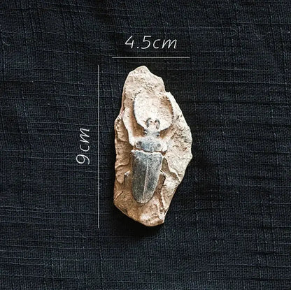 Decorbites fossil series art refrigerator sticker features a detailed 9cm fossilized stag beetle in beige rock for kitchen decor