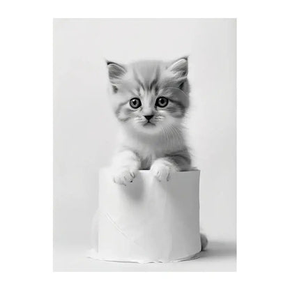 A fluffy monochrome kitten with wide eyes on decorbites™ funny animals canvas wall art for bathroom home decor