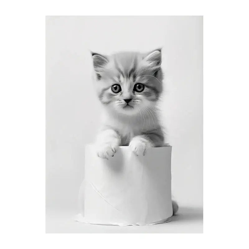 A fluffy monochrome kitten with wide eyes on decorbites™ funny animals canvas wall art for bathroom home decor