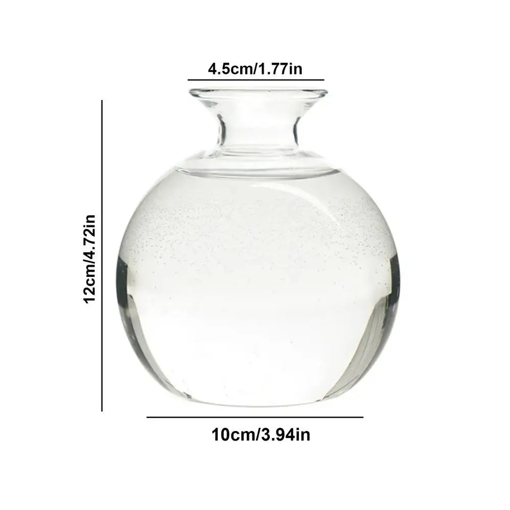 Clear glass seed starter vase by decorbites with rounded body and narrow neck for avocado seed growing, 12cm tall by 10cm wide