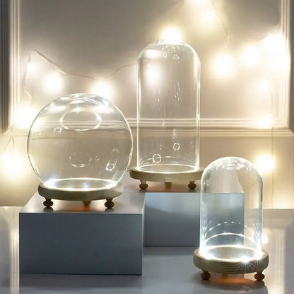 DecorBites™ glass bell jar terrarium with clear glass dome wooden base and internal LED light illumination