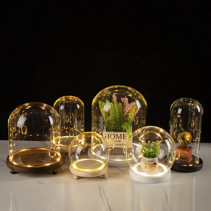 DecorBites™ glass bell jar terrarium with clear dome, warm led lighting, and wooden or white base display cases