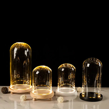 Decorbites glass bell jar terrarium with clear dome display cases featuring warm led lighting and wooden or black bases