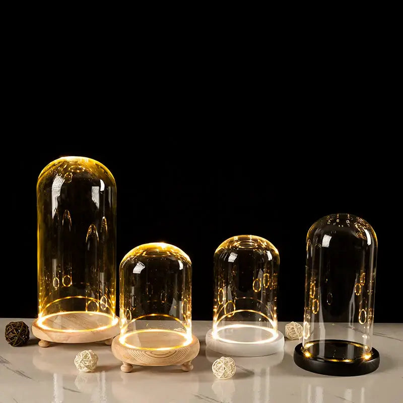 Decorbites glass bell jar terrarium with clear dome display cases featuring warm led lighting and wooden or black bases