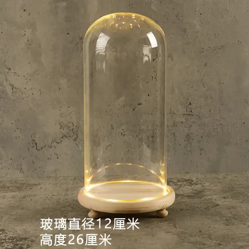 Decorbites™ glass bell jar terrarium with warm led light strip and clear dome on a wooden circular stand