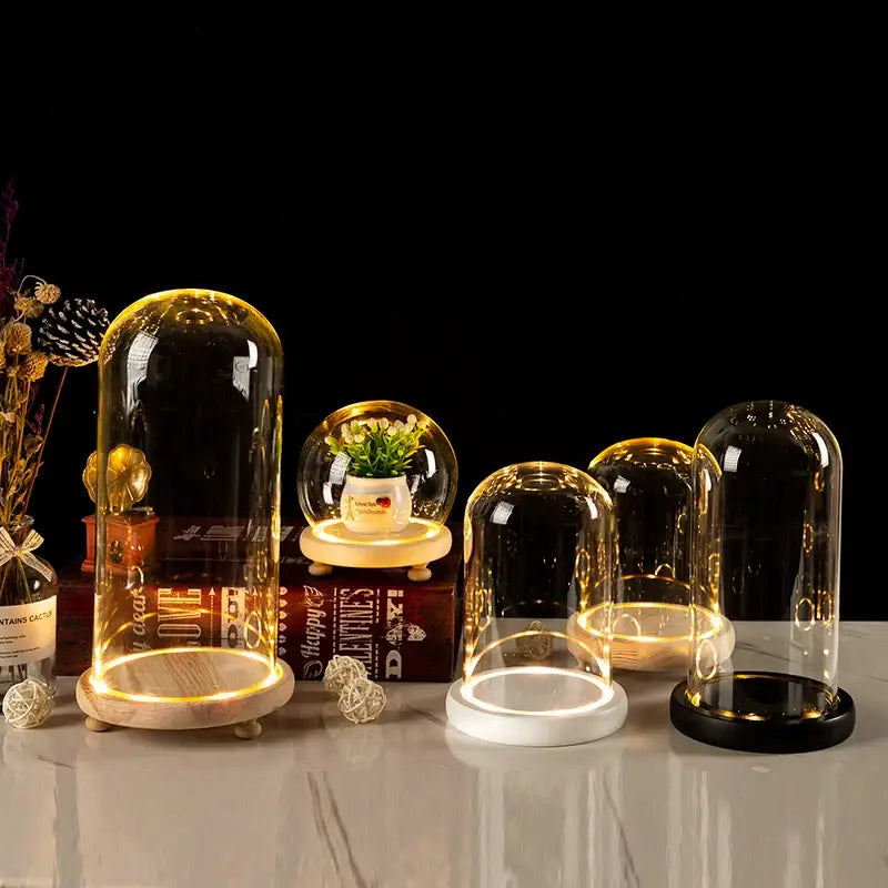 Decorbites™ glass bell jar terrarium with warm led lighting clear glass dome and wooden base for elegant display