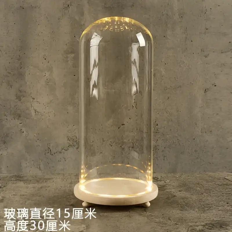 Decorbites™ glass bell jar terrarium with led light featuring a clear dome and warm golden illumination on marble base